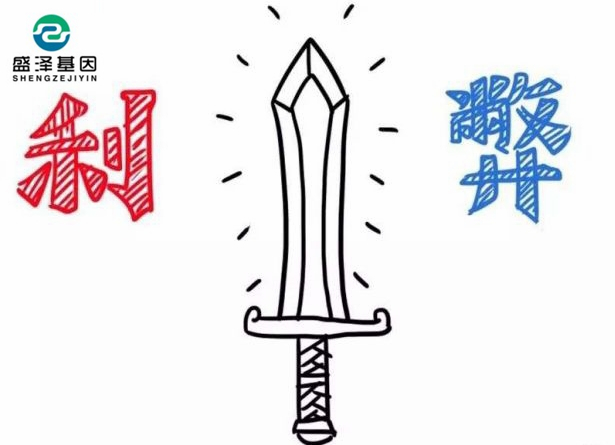 親子鑒定該不該背婚姻失敗的鍋？2