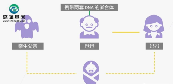醫(yī)學怪病奇美拉現(xiàn)象：親自生未必是親生？你身體還住著另一個人？