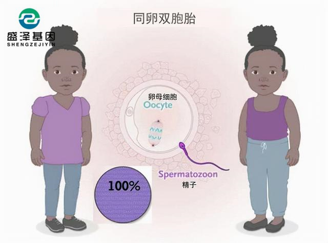 廣東男子做親子鑒定，竟發(fā)現(xiàn)自家雙胞胎有一個(gè)不是自己的？！