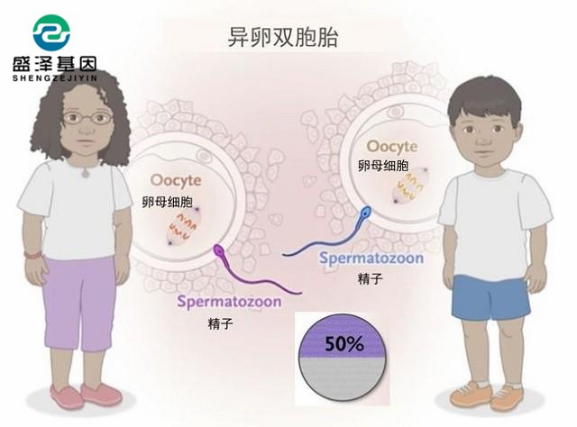 廣東男子做親子鑒定，竟發(fā)現(xiàn)自家雙胞胎有一個(gè)不是自己的？！