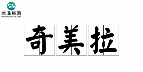 醫(yī)學怪病奇美拉現(xiàn)象：親自生未必是親生？你身體還住著另一個人？