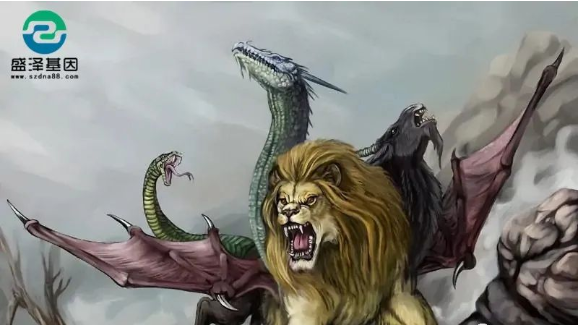 醫(yī)學怪病奇美拉現(xiàn)象：親自生未必是親生？你身體還住著另一個人？
