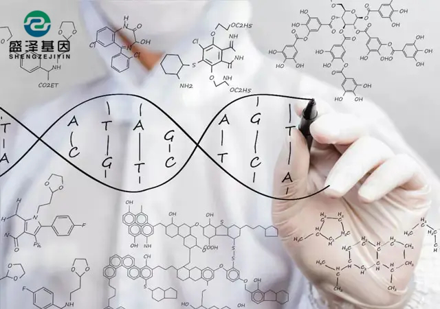 親子鑒定位點檢測結果是如何得出來的？（DNA提取物、基因擴增儀）