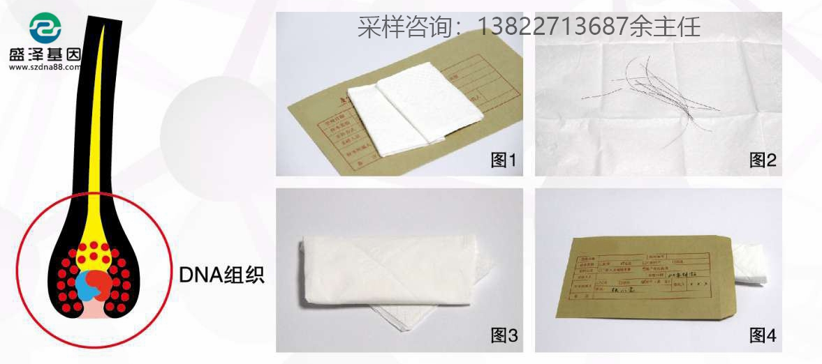 個人親子鑒定簡單采樣方法指導(dǎo)（血痕、口腔拭子、毛發(fā)）