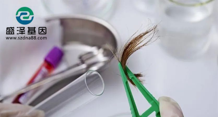 剛出生的小孩能用頭發(fā)做dna親子鑒定檢材嗎？準確率高嗎？