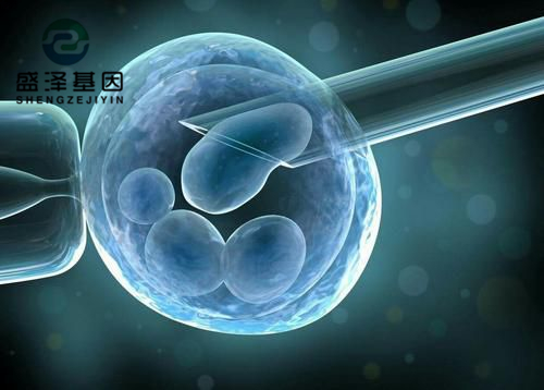 親子鑒定師講述：老公明明是無精癥，老婆卻試管嬰兒懷孕成功？