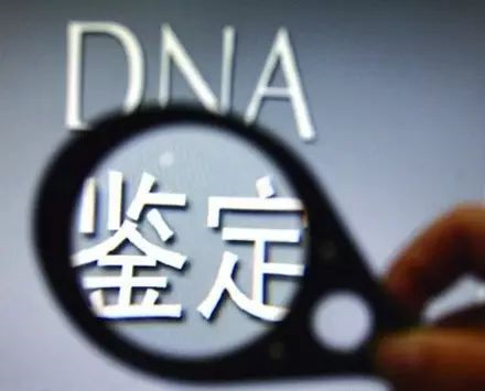 司法親子鑒定報(bào)告怎么做？需要采集什么樣本？