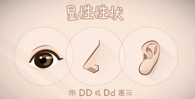 親子鑒定到底是個啥？怎么個鑒定法？