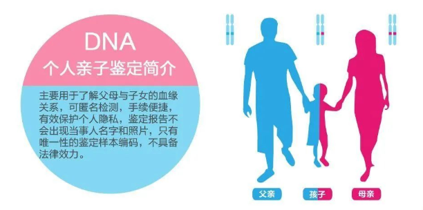 中山東區(qū)司法親子鑒定中心給客戶做親子鑒定準確率如何？