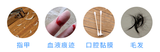 懷孕多久可以做無創(chuàng)胎兒親子鑒定樣本采集？
