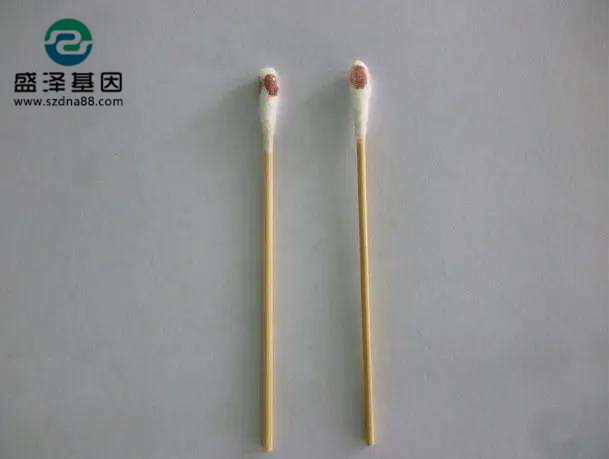 棉簽上的血其實就是血痕樣本，親子鑒定一般的載體的選擇有采血卡