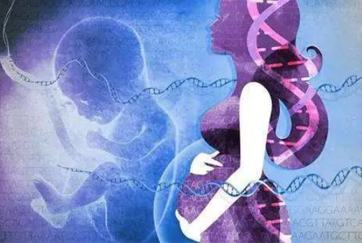 孕婦懷孕幾個(gè)月可以做dna親子鑒定？對(duì)胎兒有傷害嗎？