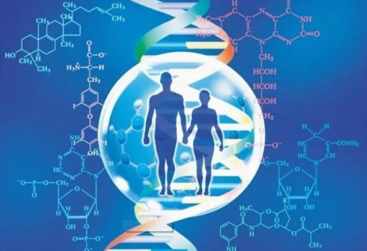 親子鑒定中心是如何做出血緣關(guān)系鑒定結(jié)果的？