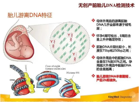 孕期做胎兒親子鑒定合適嗎？孕期有哪些胎兒親子鑒定方法？