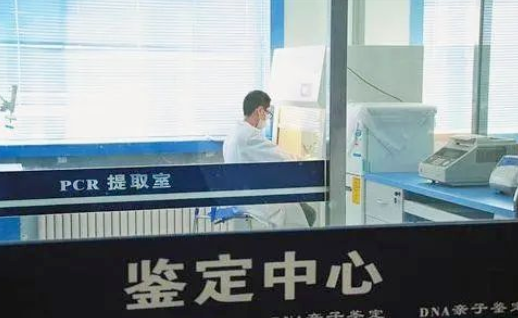 親子鑒定證明非婚生子法院會(huì)判決離婚嗎？可以要求過錯(cuò)方賠償嗎？