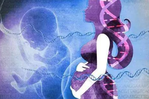 為什么孕婦可以通過(guò)靜脈血親子鑒定胎兒？