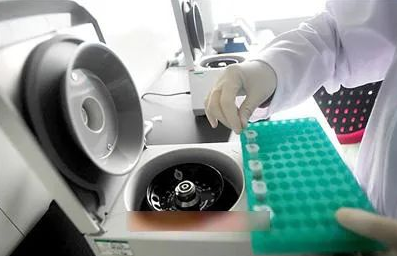 指甲是否含有DNA，可作為親子鑒定樣本嗎？