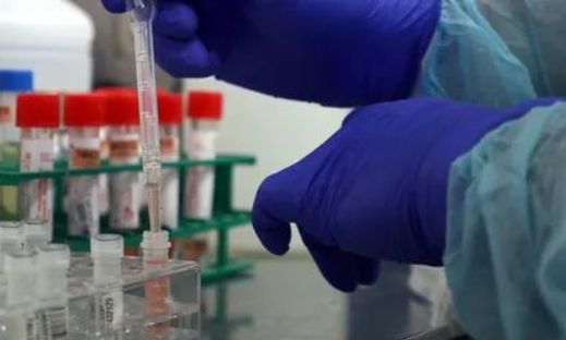 除了血液人的唾液能做親子鑒定嗎？能親子鑒定人的遺傳病史嗎？