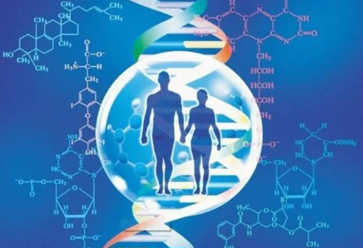 男方要求做親子鑒定的情況增多，是西方文化與傳統(tǒng)道德觀點的碰撞