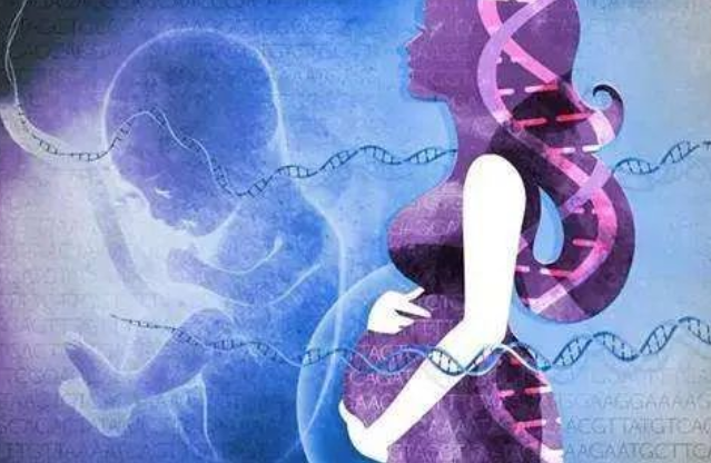 孕媽沈女士求助：懷孕胎兒親子鑒定準確嗎？