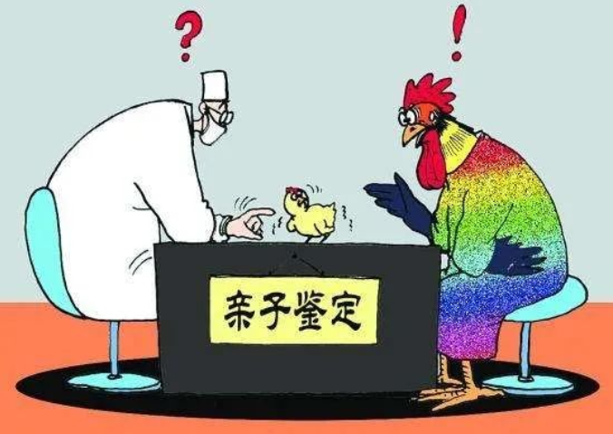 親子鑒定人數(shù)逐年上升，透過現(xiàn)象看本質(zhì)：親子鑒定折射信任危機(jī)