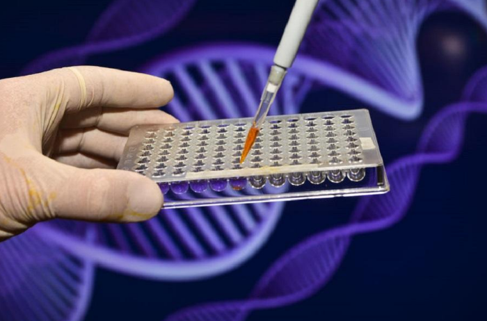 中山親子鑒定不同類型的程序、法律效力和適用范圍各不相同！