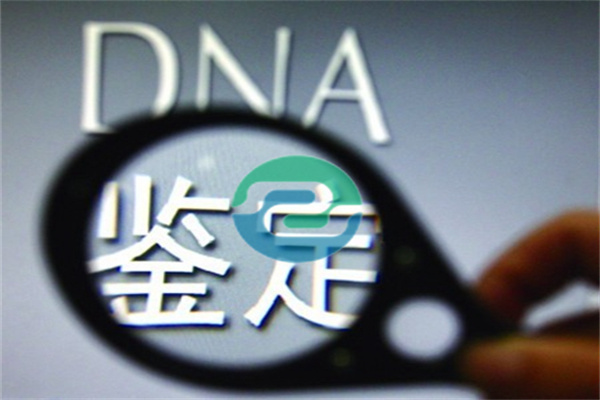 中山親子鑒定怎么預約？過程復雜嗎？它會泄露隱私嗎？