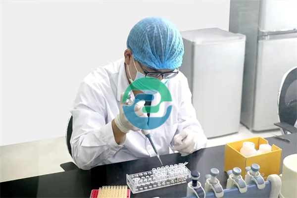 中山秘密親子鑒定需要什么？