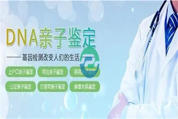 中山親子鑒定分兩種，材料差別很大！