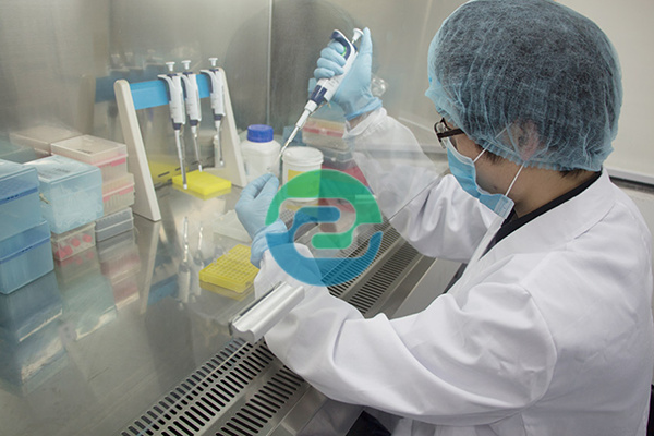 怎么偷偷做中山dna親子鑒定？