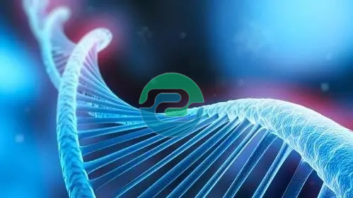 中山親子鑒定的費(fèi)用是多少？需要什么？