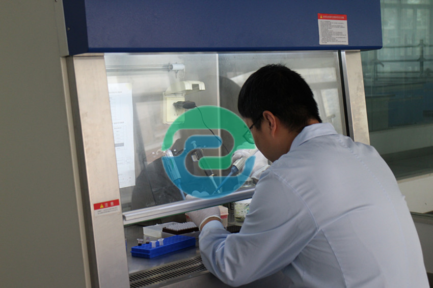 不同類型中山親子鑒定用途、所需材料及流程各不相同！